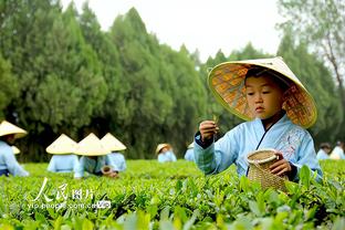 雷电竞雷电竞官方app下载截图1